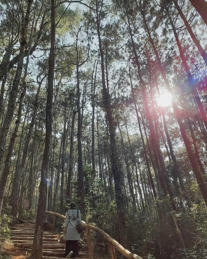 Seribu Batu Songgo Langit Resort & Camp Bantul Exterior photo